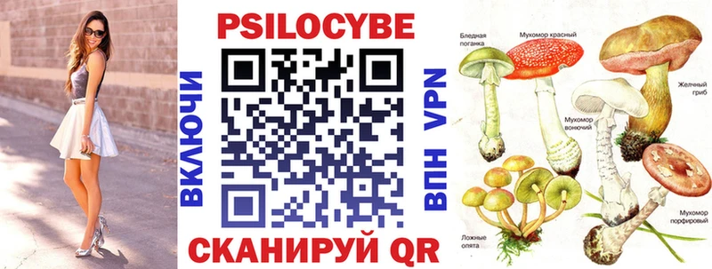 Псилоцибиновые грибы Cubensis Калязин
